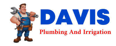 Trusted plumber in FYFFE